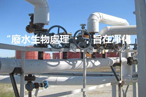 “廢水生物處理，旨在凈化水源，守護(hù)碧水藍(lán)天”